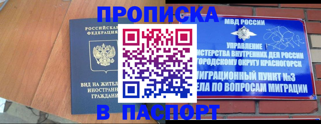 найти адрес прописки в Арсеньеве